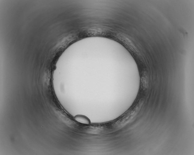 X0000112070458200909011026