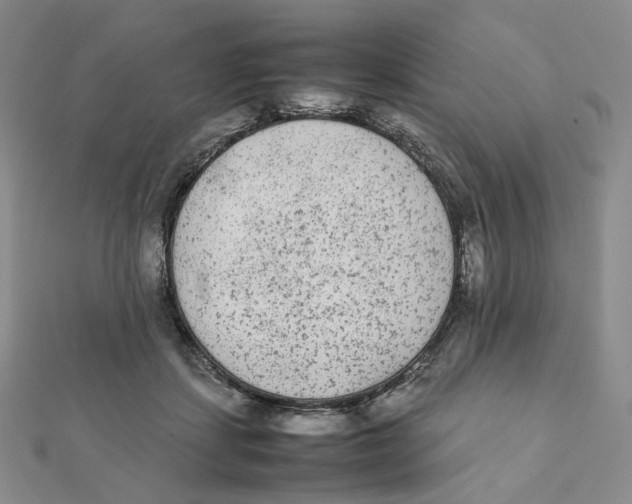 X0000112070459200909011026