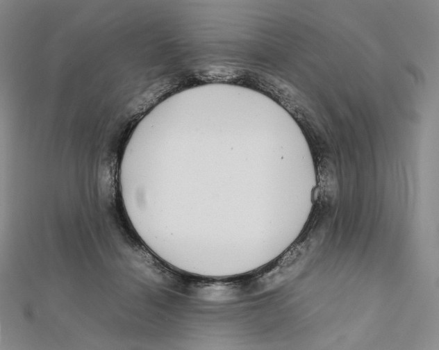 X0000112070460200909011026