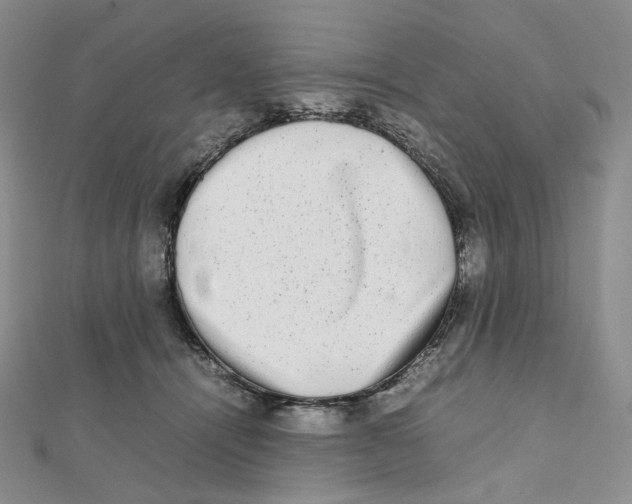 X0000112070464200909011026