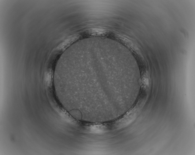 X0000112070468200909011026