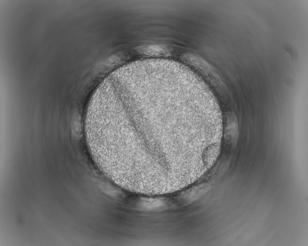 X0000112070469200909011026