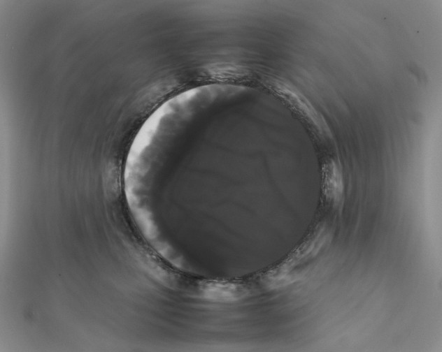 X0000112070471200909011026