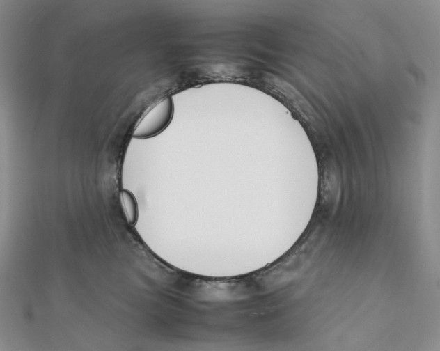 X0000112070473200909011026