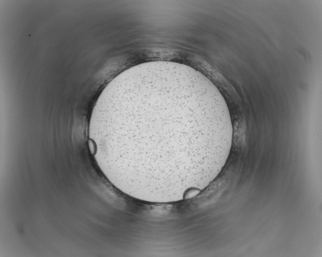 X0000112070474200909011026
