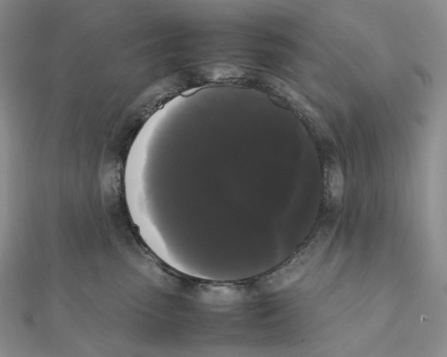 X0000112070475200909011026