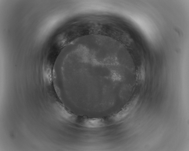 X0000112070479200909011026