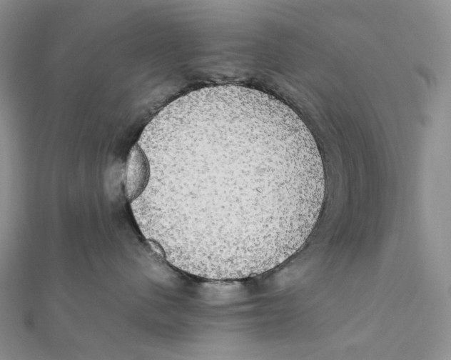 X0000112070480200909011026
