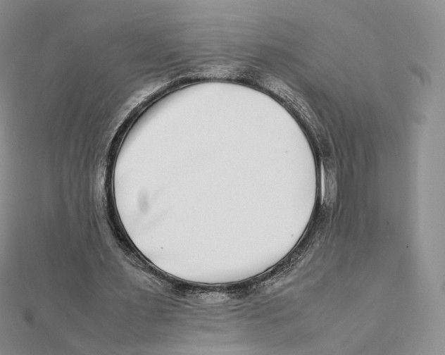 X0000112070483200909011026