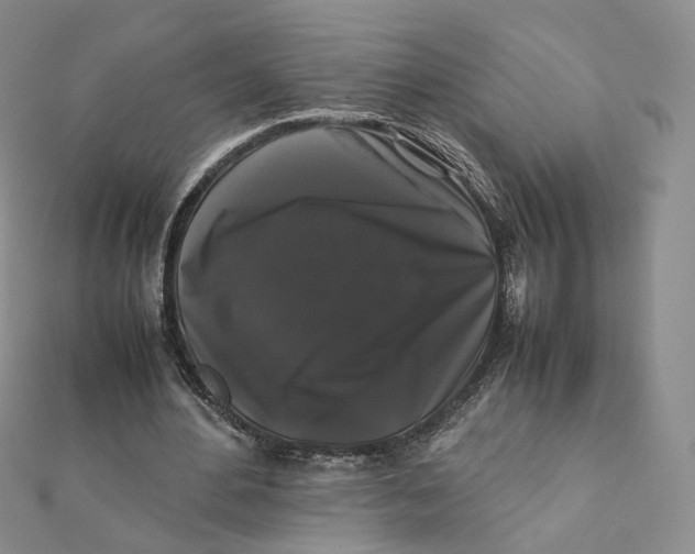 X0000112070484200909011026