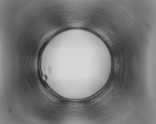 X0000112070486200909011026