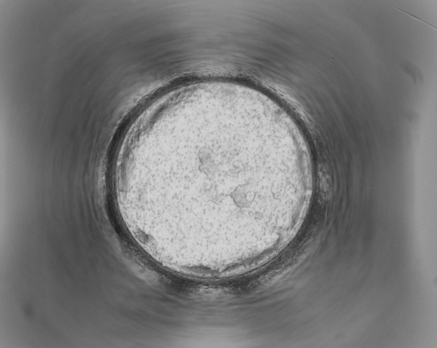 X0000112070487200909011026