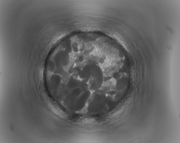 X0000112070491200909011026