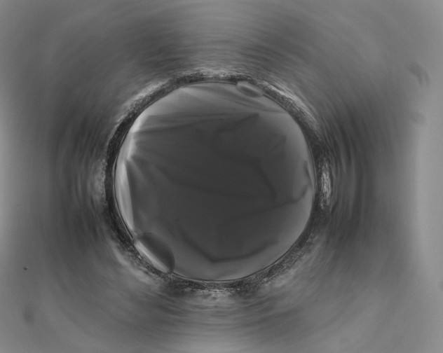 X0000112070492200909011026