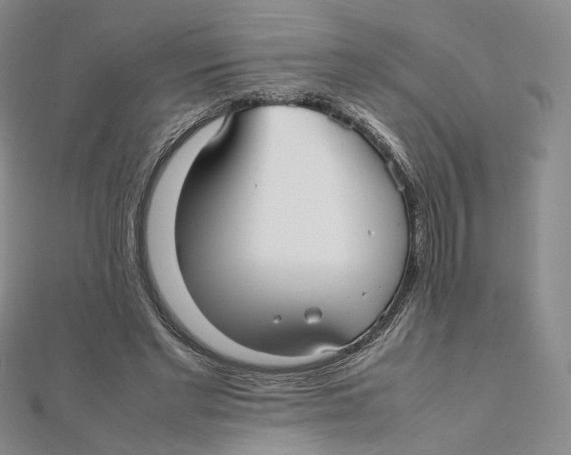 X0000112070493200909011026