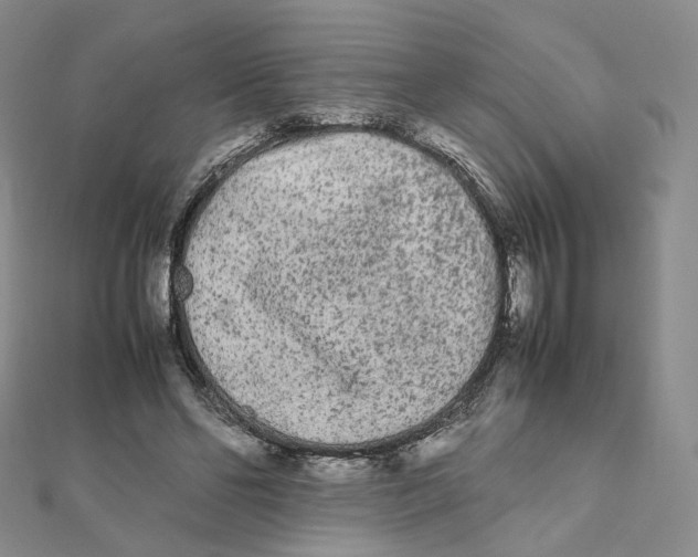 X0000112070494200909011026