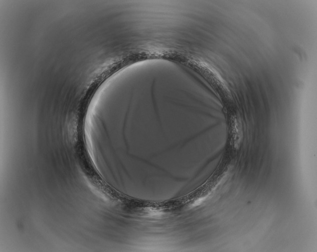 X0000112070496200909011026