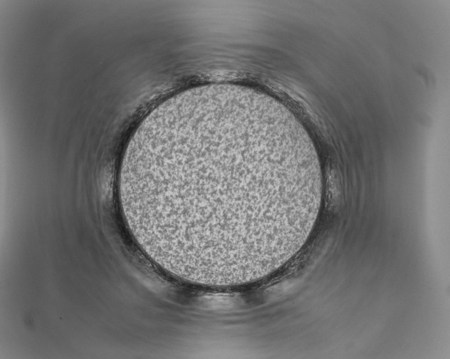 X0000112070499200909011026