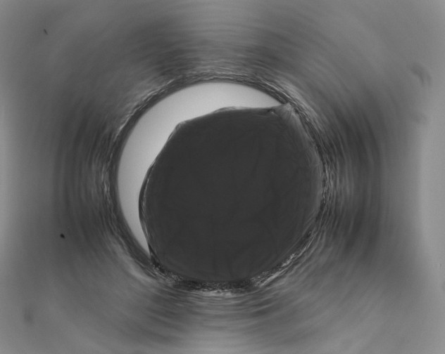 X0000112070500200909011025