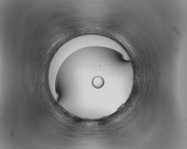 X0000112070501200909011025