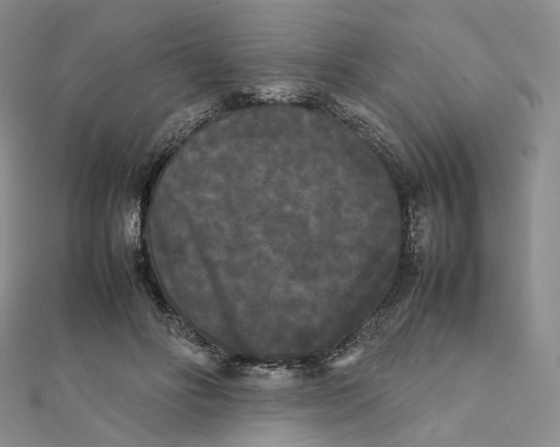 X0000112070502200909011025