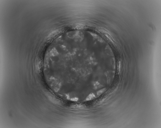 X0000112070503200909011025