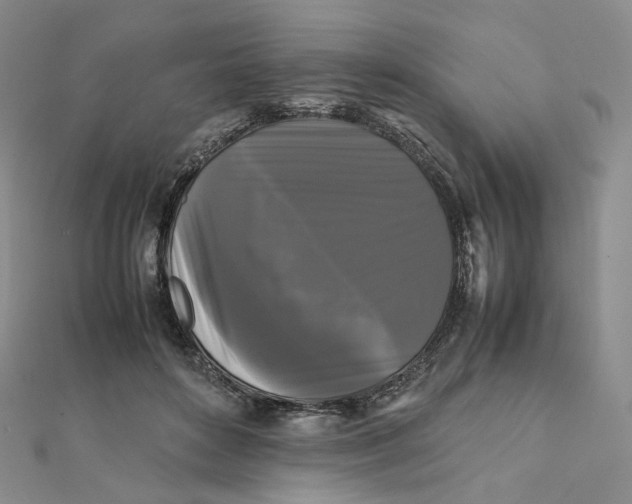 X0000112070504200909011025