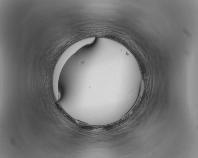 X0000112070505200909011025