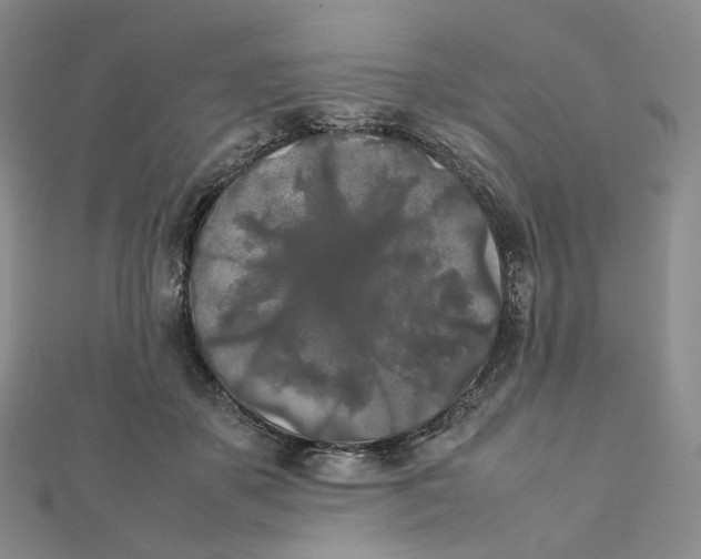 X0000112070507200909011025