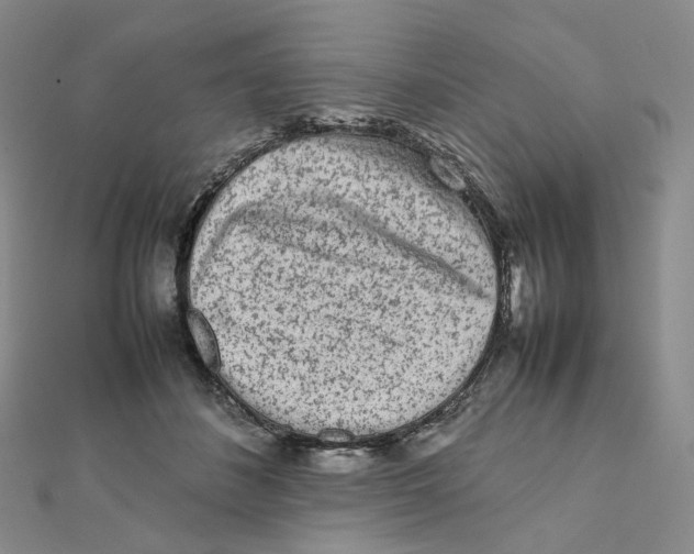 X0000112070508200909011025