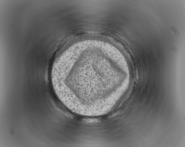 X0000112070512200909011025