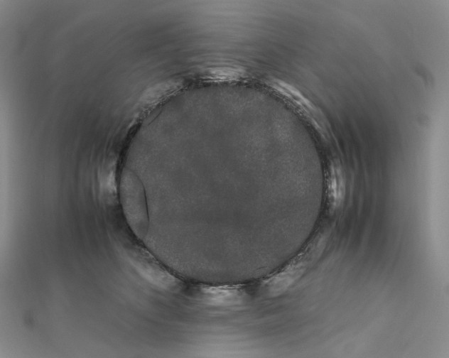 X0000112070516200909011025