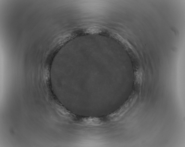 X0000112070517200909011025