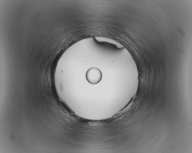 X0000112070520200909011025