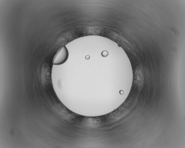 X0000112070522200909011025