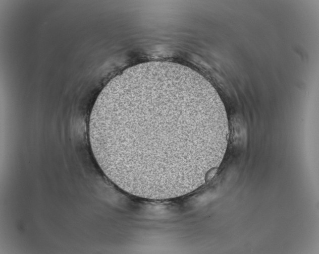 X0000112070523200909011025