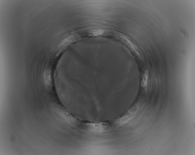 X0000112070524200909011025
