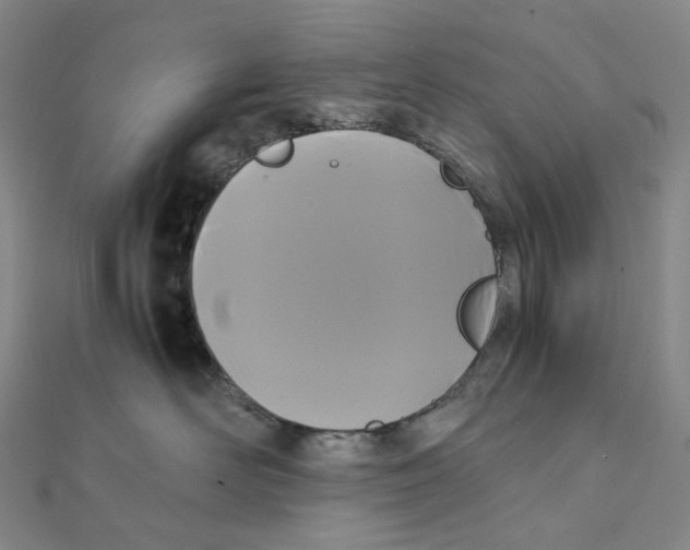 X0000112070526200909011025