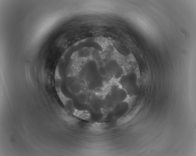 X0000112070527200909011025