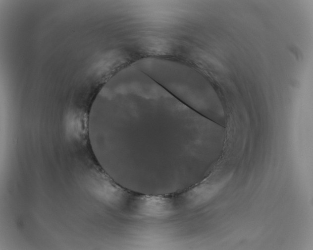 X0000112070528200909011025