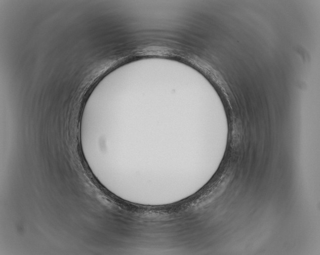 X0000112070529200909011025