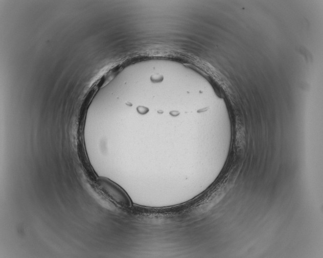 X0000112070530200909011025