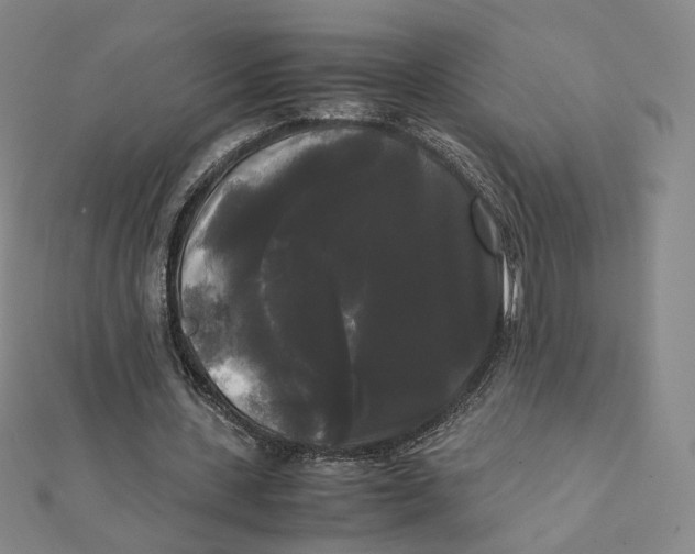X0000112070531200909011025