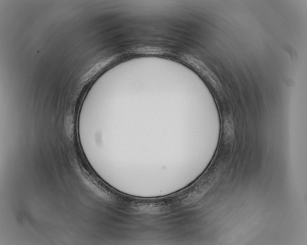 X0000112070533200909011025