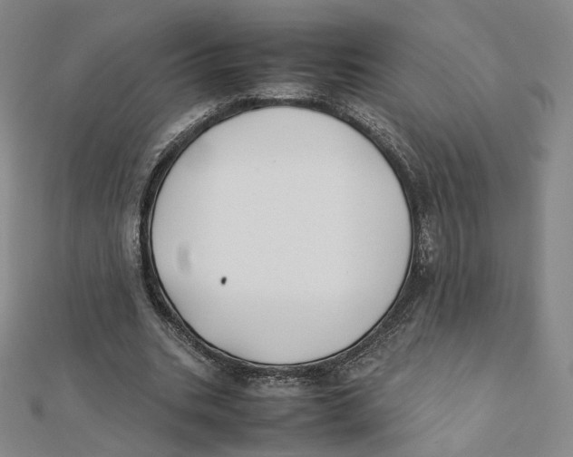 X0000112070535200909011025