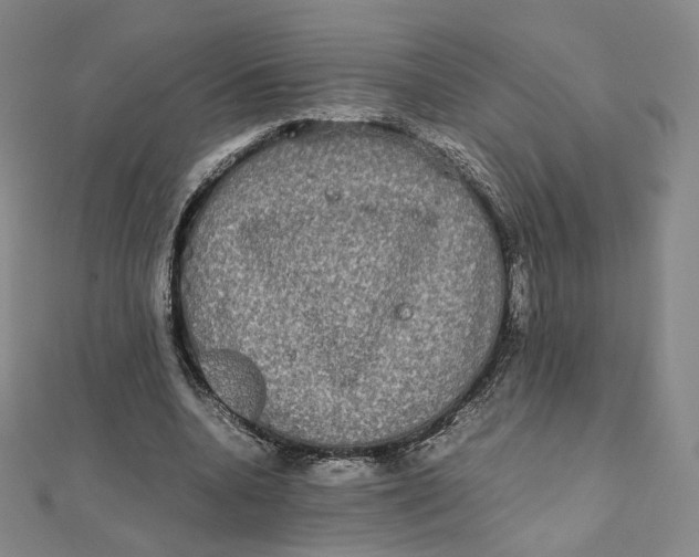 X0000112070536200909011025