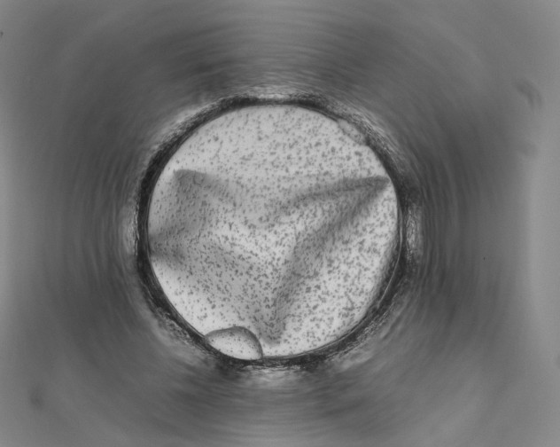 X0000112070540200909011025