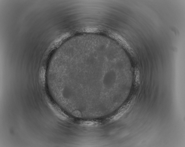 X0000112070542200909011025