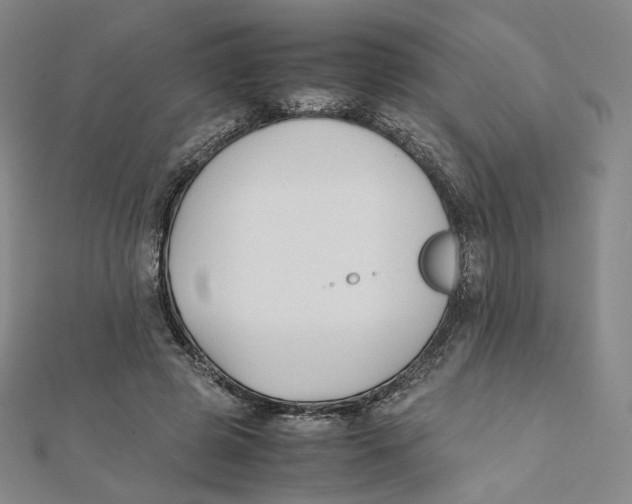 X0000112070545200909011025