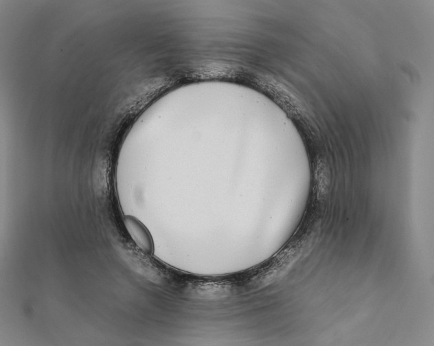 X0000112070546200909011025